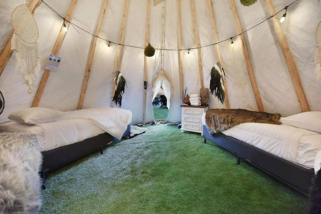 Enchanted Forest Cabin And Teepee! Lights & Laser Show! Private Hot Tub! Unique Stay! Севьервилл Экстерьер фото